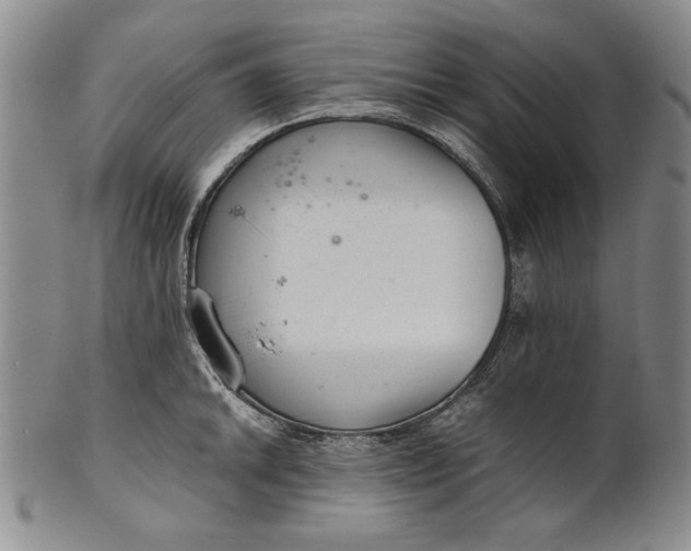 X0000101961046200808081524