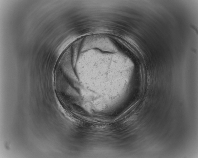 X0000101961047200808081524