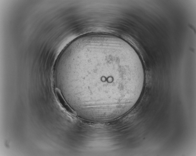 X0000101961048200808081524