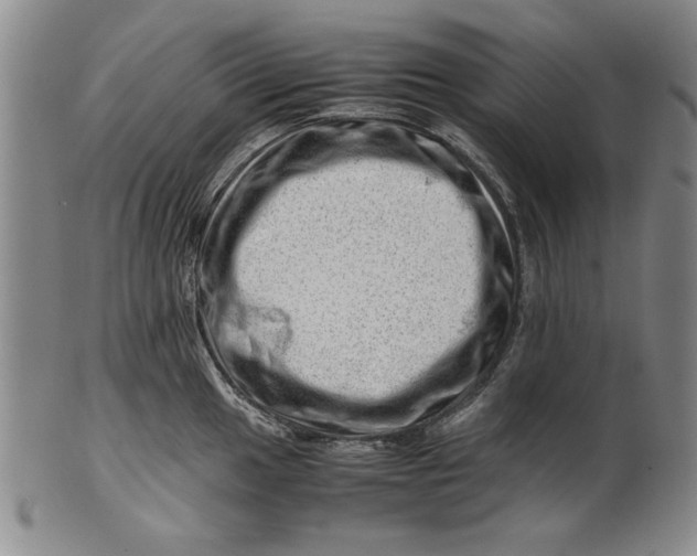 X0000101961049200808081524