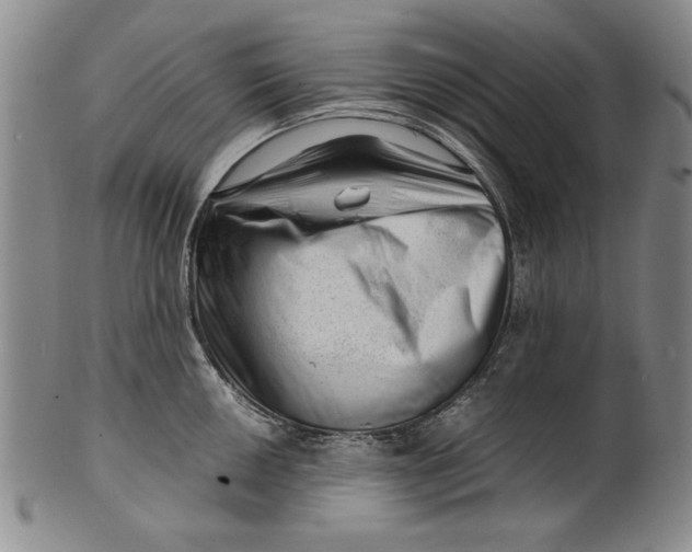 X0000101961050200808081524