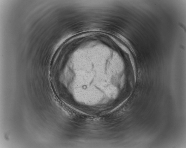 X0000101961051200808081524