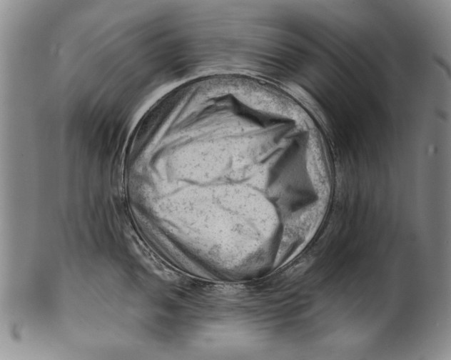 X0000101961052200808081524