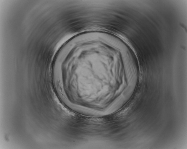 X0000101961053200808081524