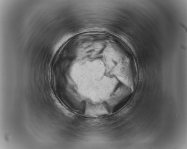 X0000101961054200808081524