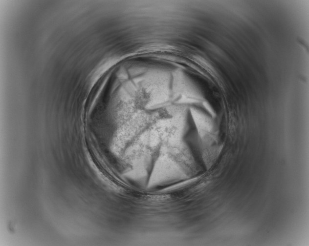 X0000101961055200808081524