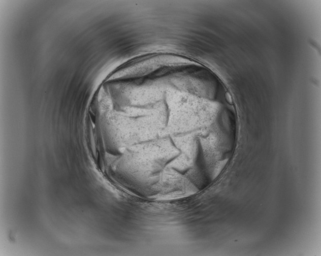 X0000101961056200808081524