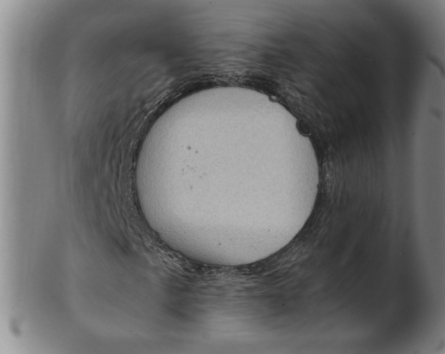 X0000101961057200808081523