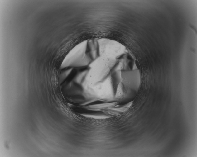 X0000101961058200808081523