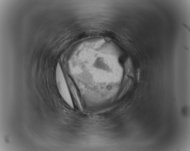 X0000101961059200808081523