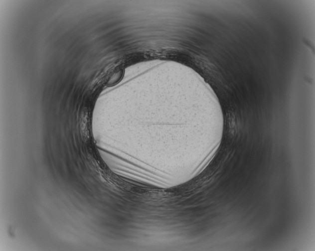 X0000101961060200808081523