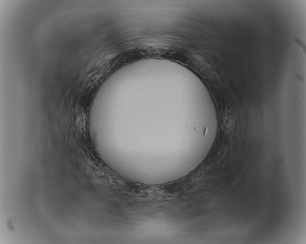 X0000101961061200808081523