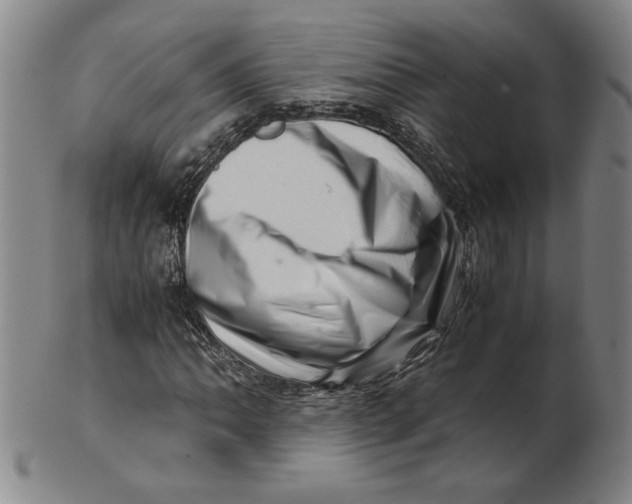 X0000101961062200808081523