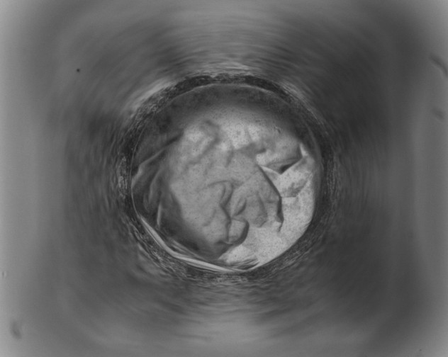 X0000101961063200808081523