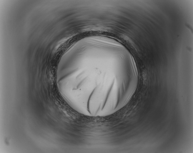 X0000101961064200808081523