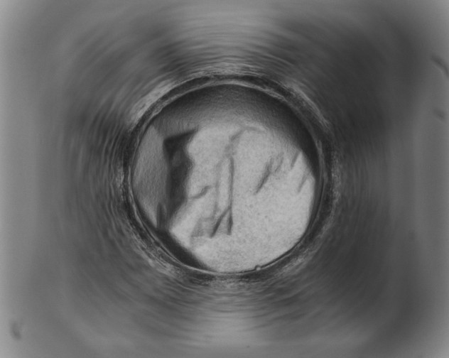 X0000101961065200808081523