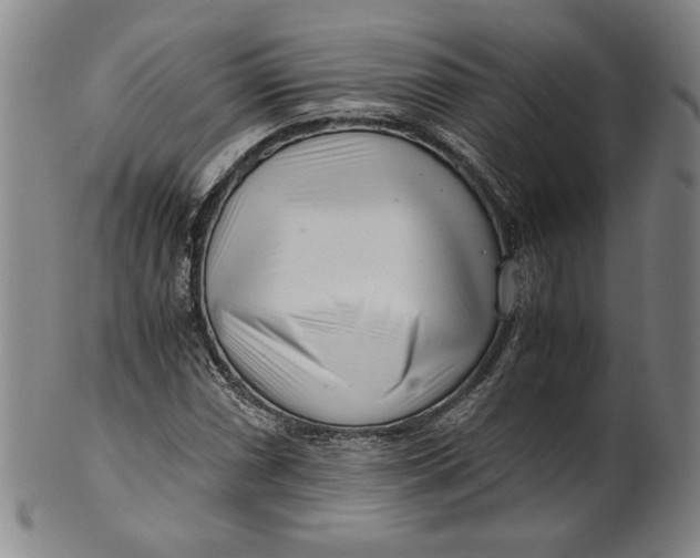 X0000101961066200808081523