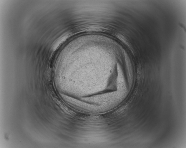 X0000101961067200808081523