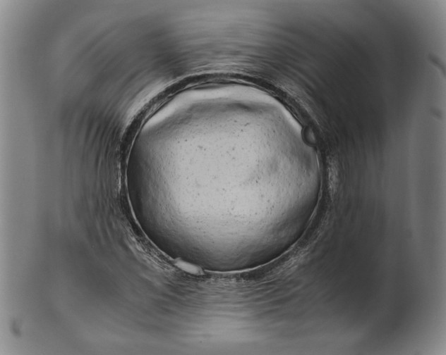 X0000101961069200808081523