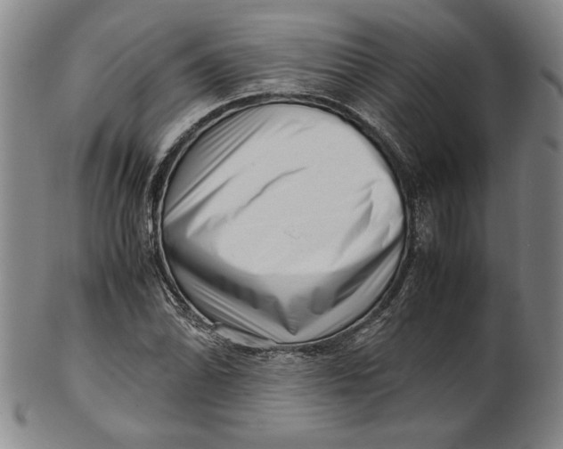 X0000101961070200808081523