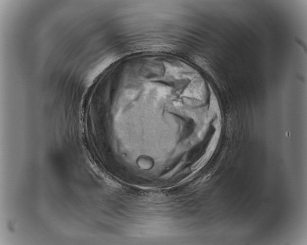 X0000101961071200808081523