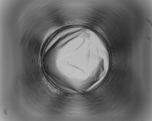 X0000101961072200808081523