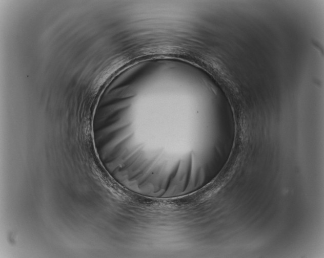 X0000101961073200808081523