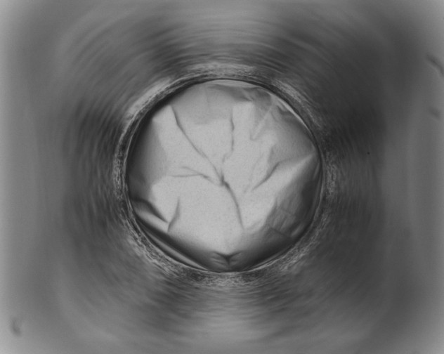 X0000101961074200808081523