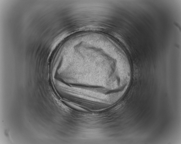 X0000101961075200808081523