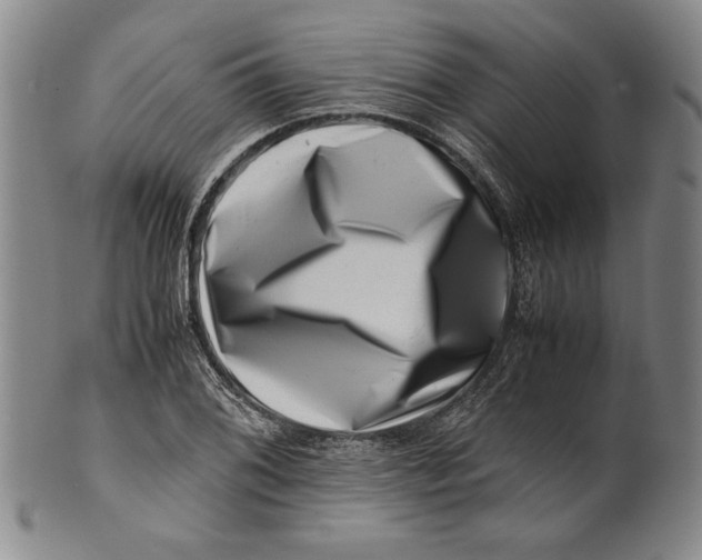 X0000101961076200808081523