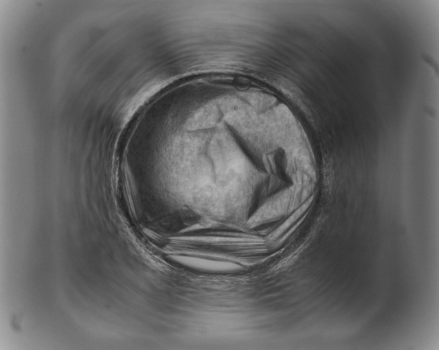 X0000101961077200808081523