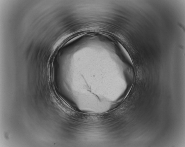 X0000101961078200808081523