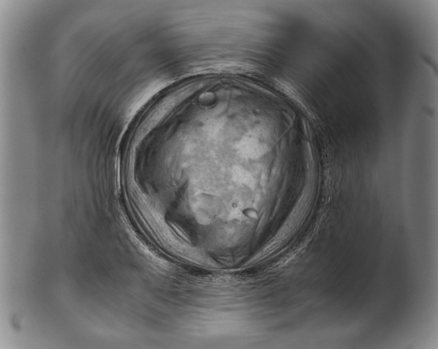 X0000101961079200808081523