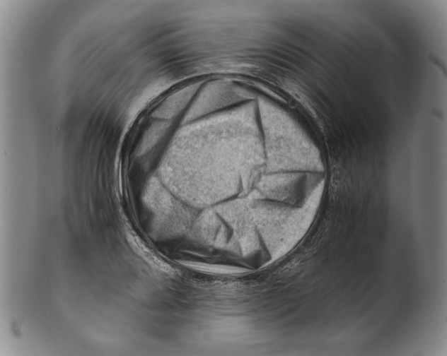 X0000101961080200808081523