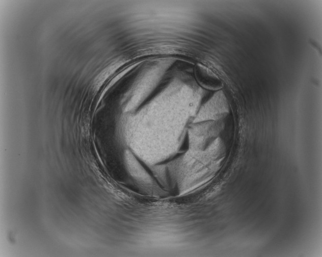 X0000101961081200808081523