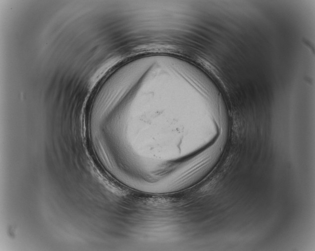 X0000101961082200808081523