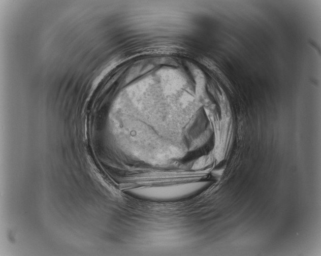 X0000101961083200808081523