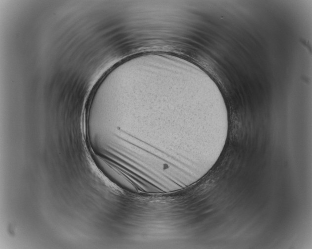 X0000101961084200808081523