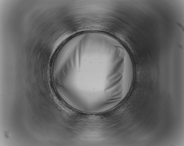 X0000101961085200808081523