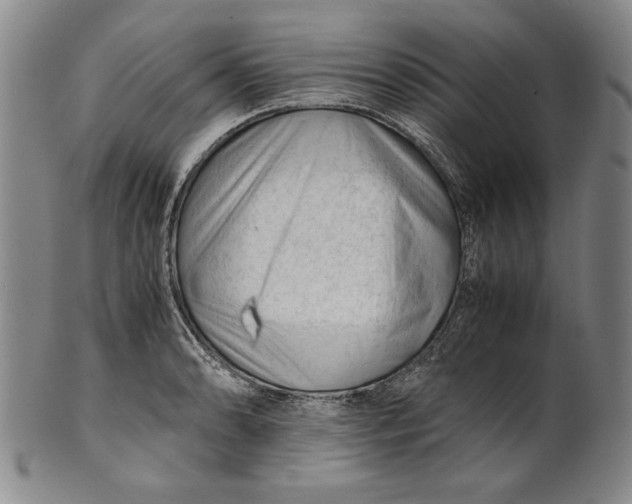 X0000101961086200808081523