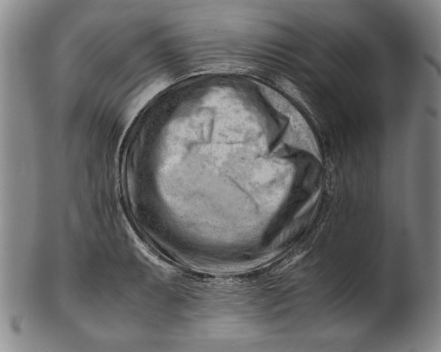 X0000101961087200808081523