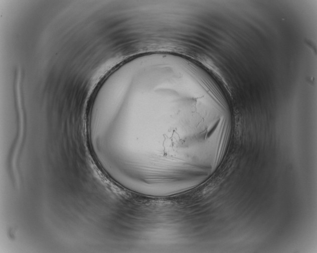 X0000101961088200808081523