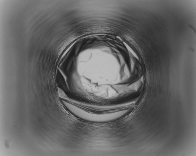 X0000101961089200808081523