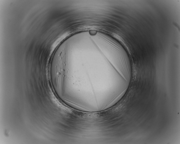 X0000101961090200808081523