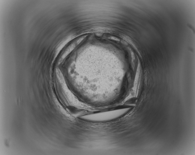 X0000101961091200808081523