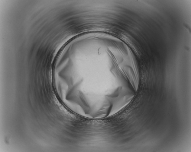 X0000101961092200808081523