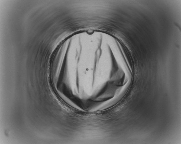 X0000101961093200808081523