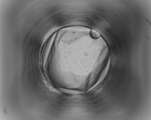 X0000101961094200808081523