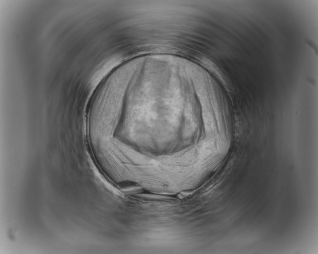 X0000101961095200808081523