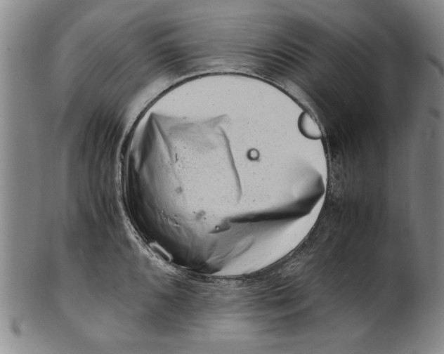 X0000101961096200808081523